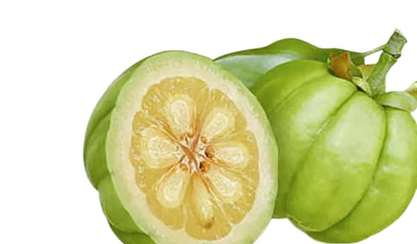 Garcinia Cambogia