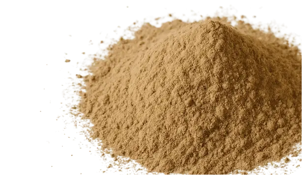Panax Ginseng